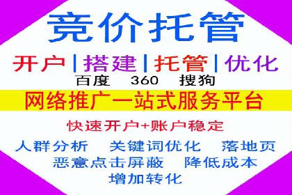 百度推广排名提升方案：某科技公司的成功经验